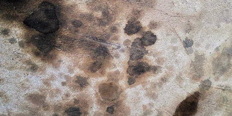 Ölflecken auf Naturstein entfernen Hausmittel